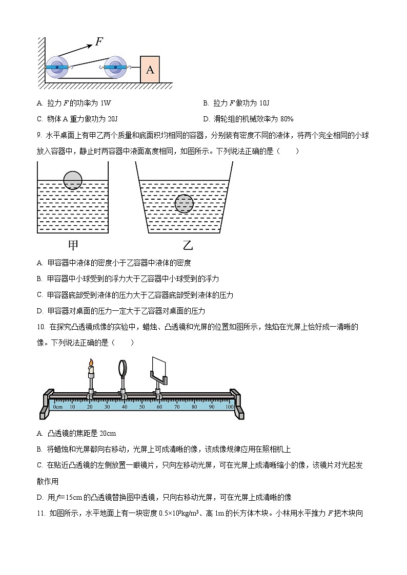 2024年山东省阳谷县实验中学 中考物理一模押题（二）（原卷版）第3页