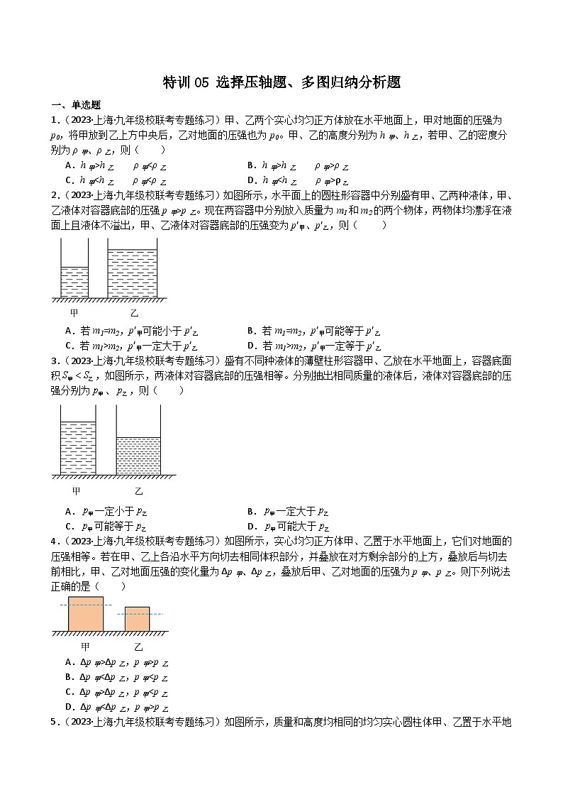 特训05 选择压轴题、多图归纳分析题-九年级物理第一学期期中期末挑战满分训练（上海沪教版）01