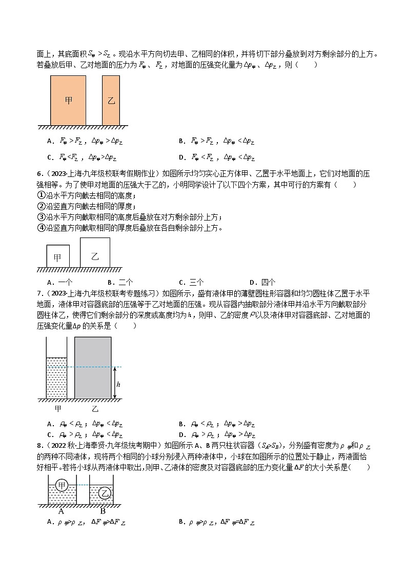 特训05 选择压轴题、多图归纳分析题-九年级物理第一学期期中期末挑战满分训练（上海沪教版）02