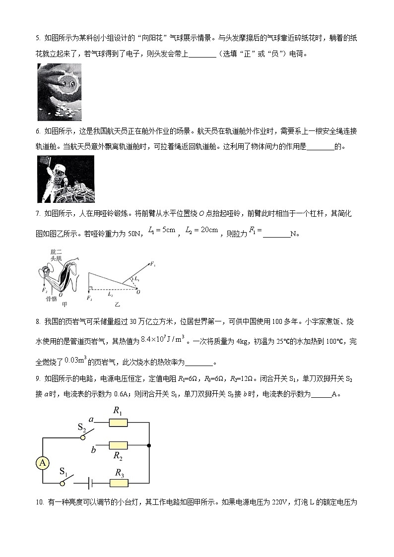 2024年安徽省滁州市凤阳县中考一模物理试题（原卷版+解析版）02