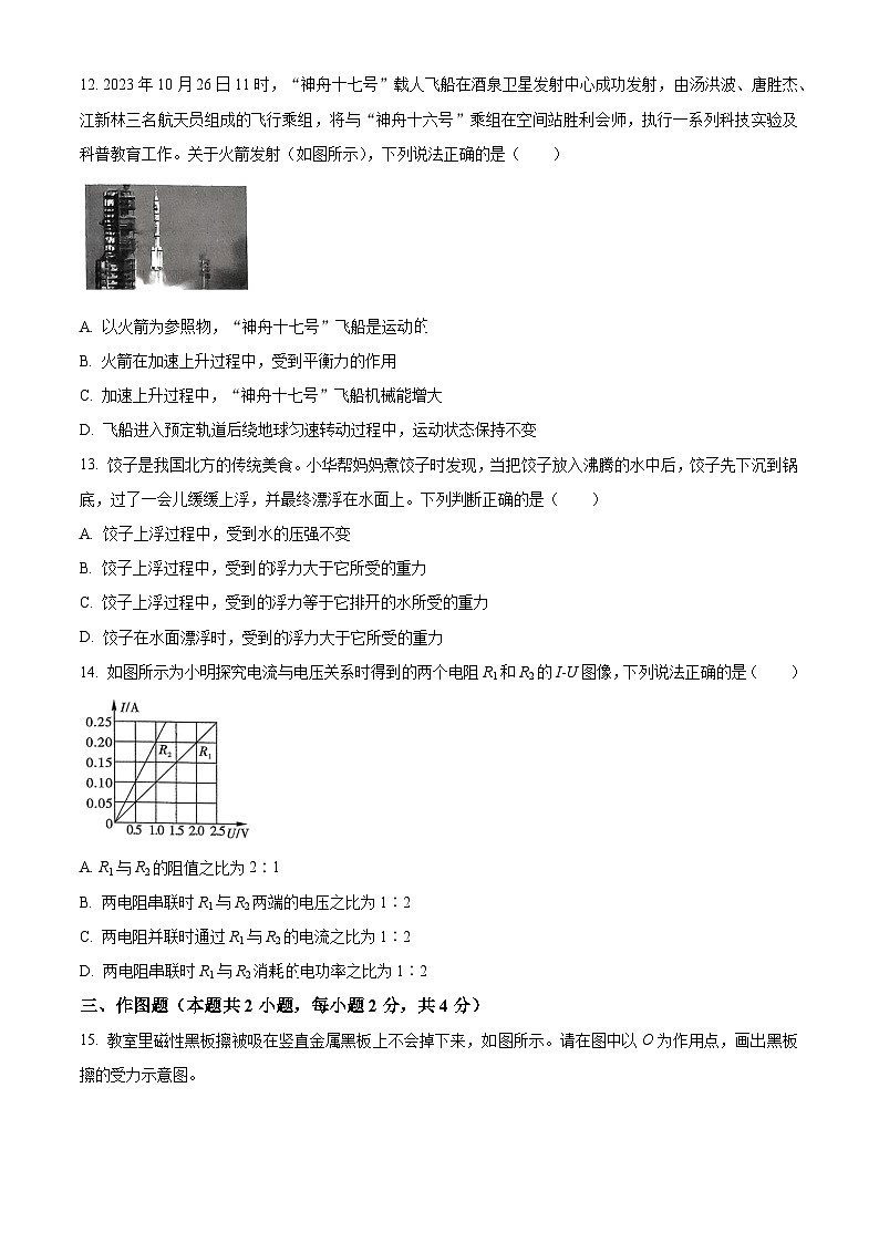 2024年河南省周口市沈丘县多校联考中考一模物理试题（原卷版+解析版）03