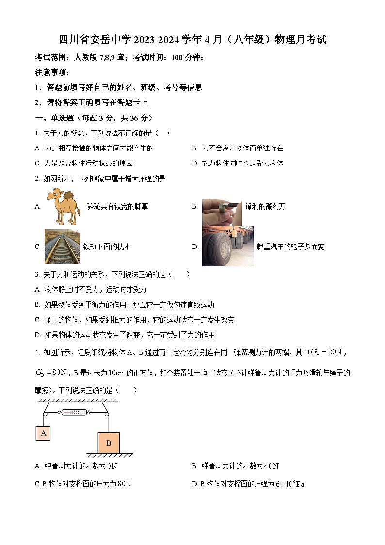 四川省资阳市安岳县安岳中学2023-2024学年下学期八年级物理4月月考试题（原卷版）第1页