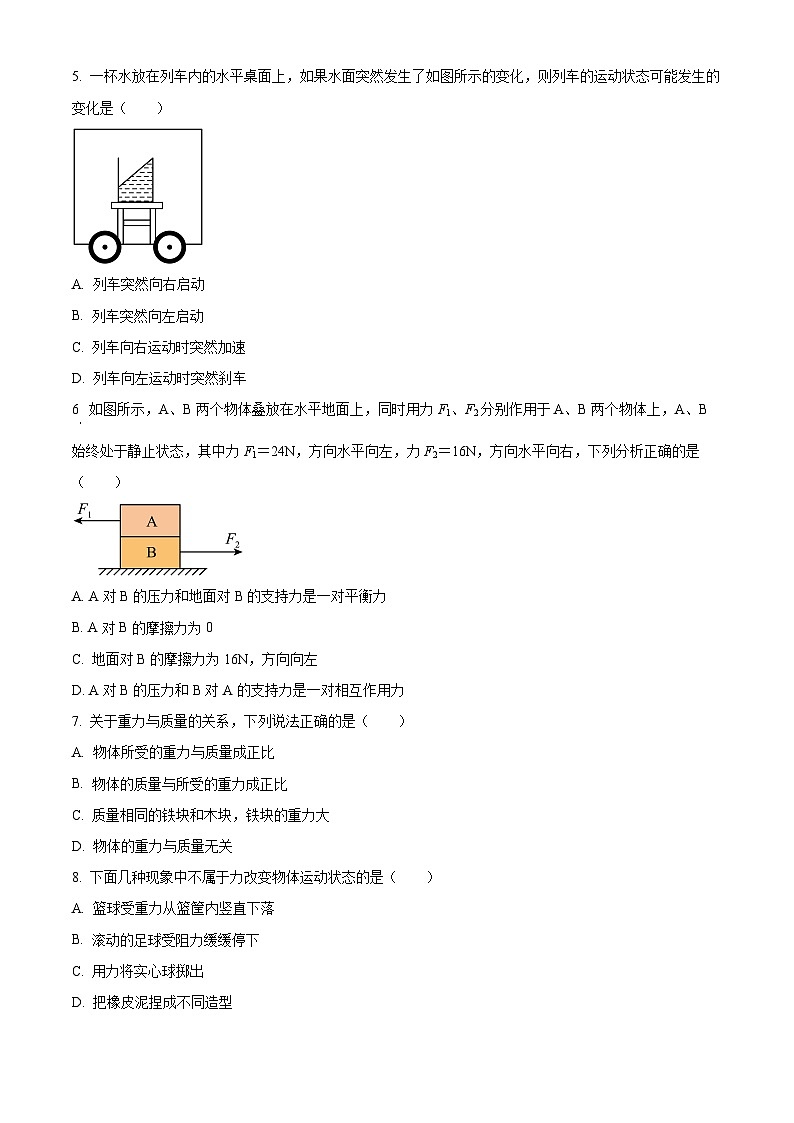 四川省资阳市安岳县安岳中学2023-2024学年下学期八年级物理4月月考试题（原卷版）第2页
