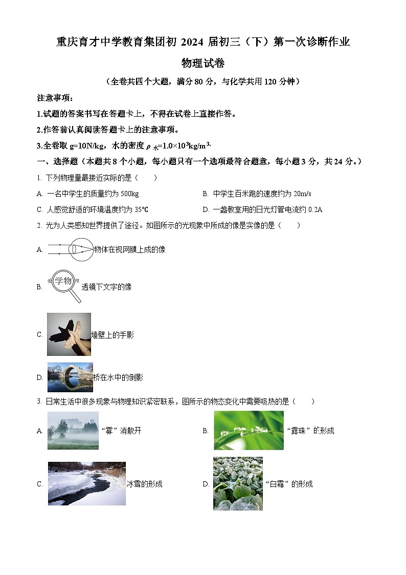 2024年重庆市育才中学教育集团中考一诊测试物理试卷（原卷版）第1页