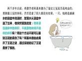10.2+阿基米德原理课件++-2023-2024学年人教版物理八年级下学期