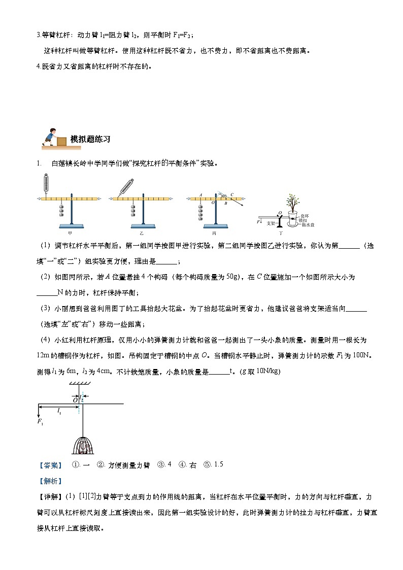 专题05杠杆实验题（解析版）第3页