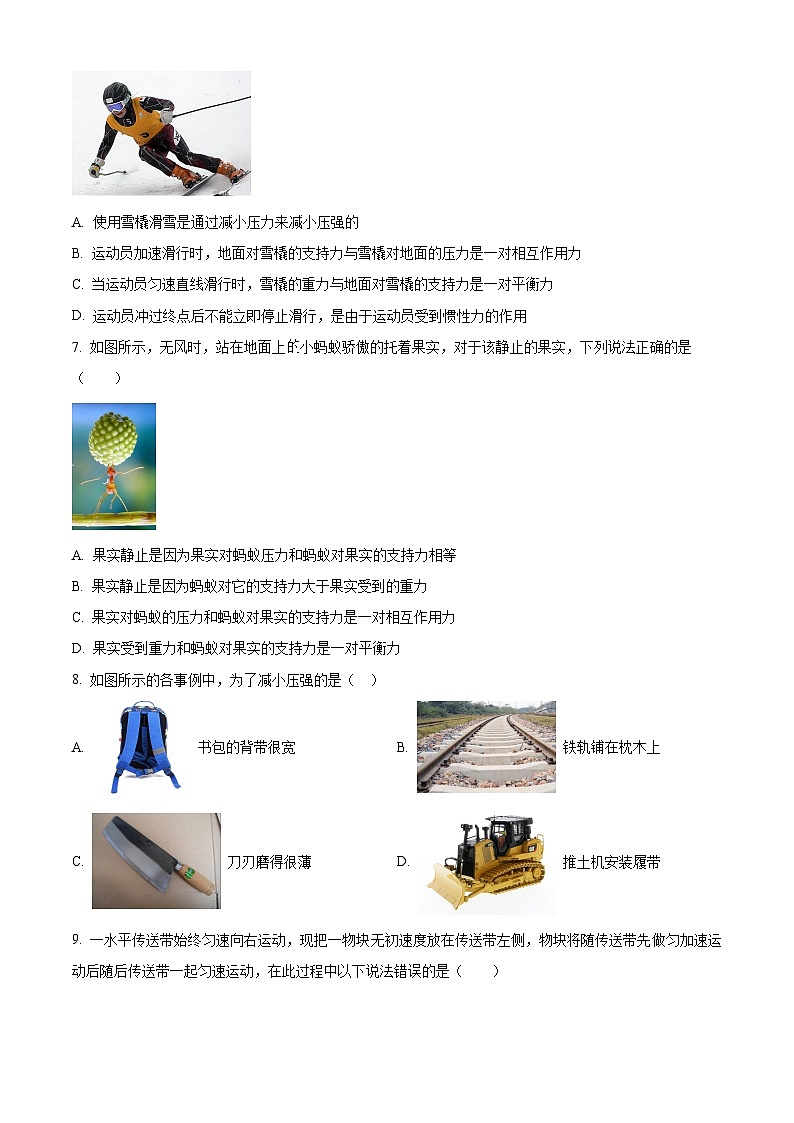 辽宁省沈阳市实验中学2023-2024学年八年级下学期3月考物理试题（原卷版）第2页