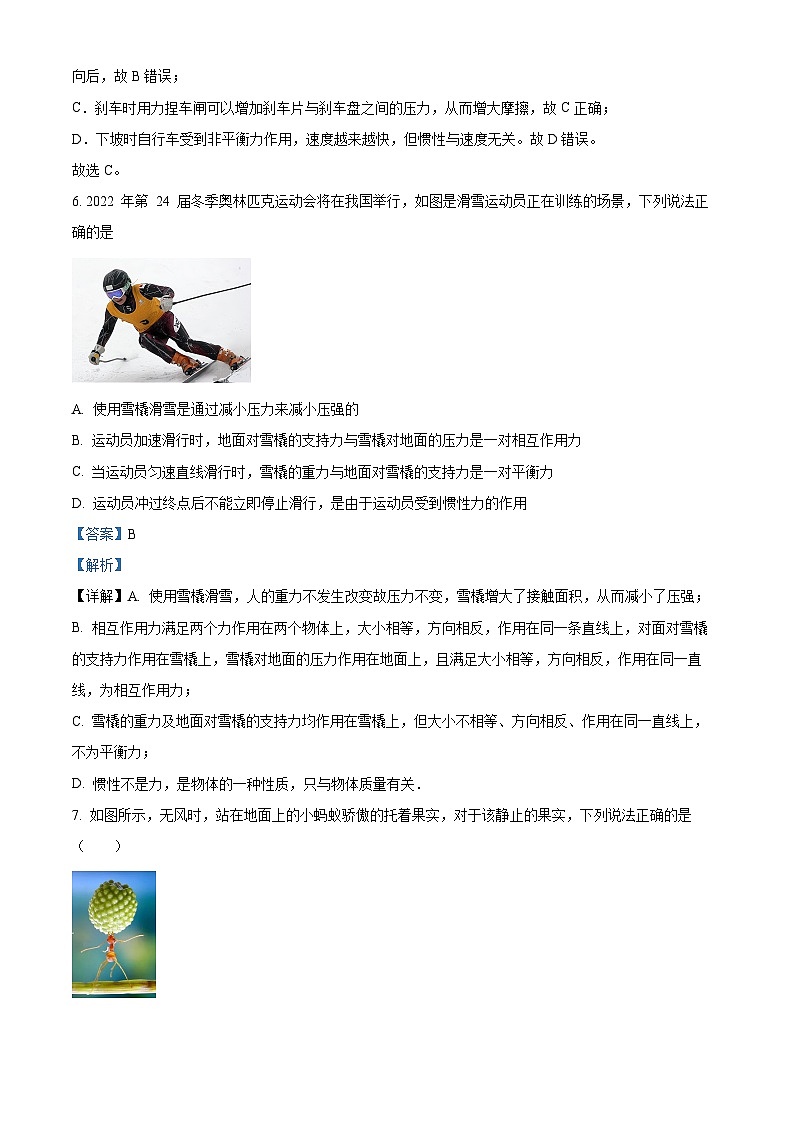 辽宁省沈阳市实验中学2023-2024学年八年级下学期3月考物理试题（解析版）第3页