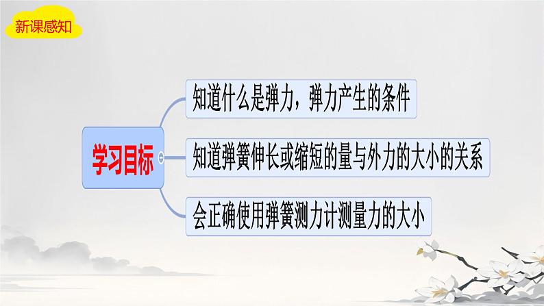 3 弹力 弹簧测力计课件 初中物理教科版八年级下册03