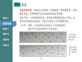 第十五章第二节电流和电路课件2023－2024学年人教版物理九年级全一册