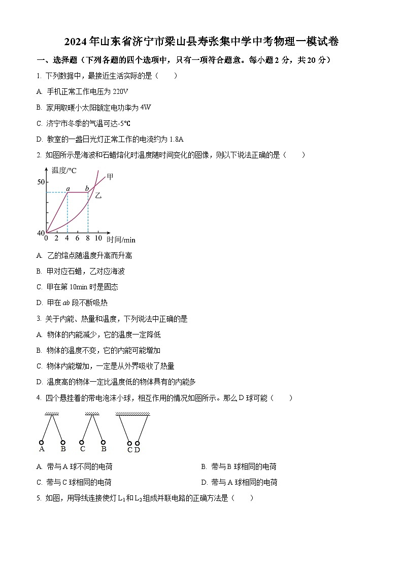 2024年山东省济宁市梁山县寿张集中学中考物理一模试卷（原卷版+解析版）01