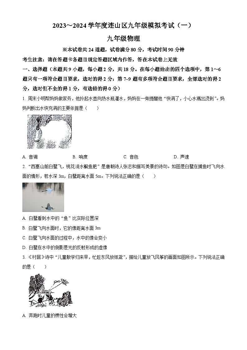 2024年辽宁省葫芦岛市连山区中考模拟考试物理试卷（一）（原卷版）第1页