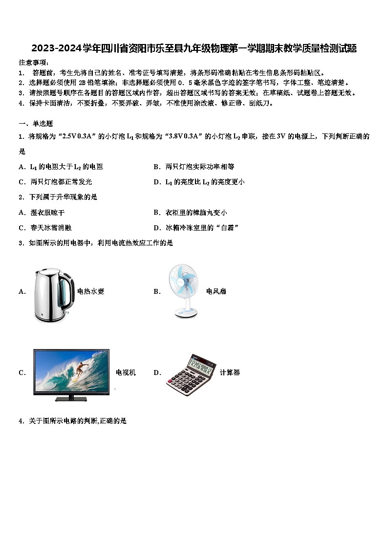 2023-2024学年四川省资阳市乐至县九年级物理第一学期期末教学质量检测试题含解析第1页