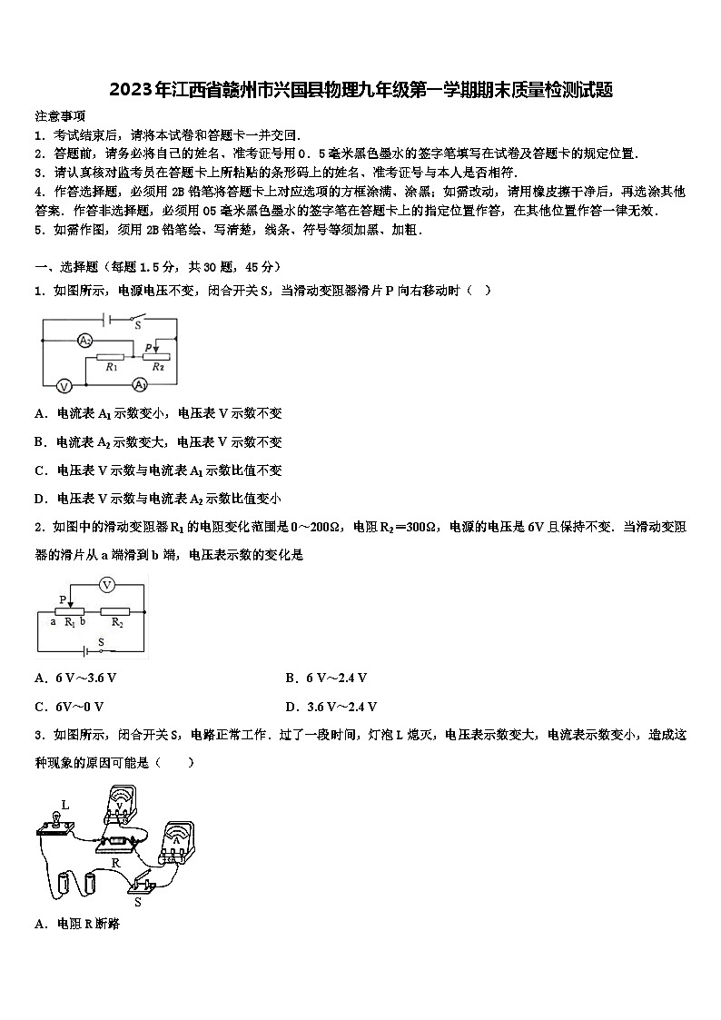 2023年江西省赣州市兴国县物理九年级第一学期期末质量检测试题含解析第1页