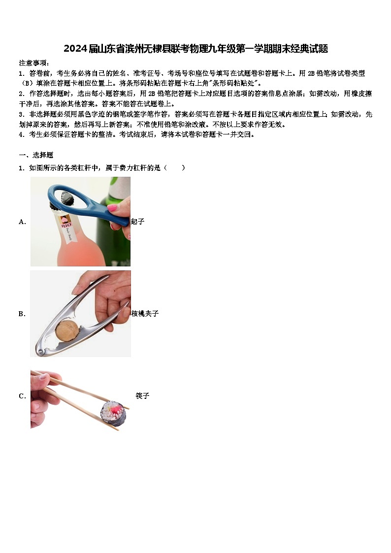 2024届山东省滨州无棣县联考物理九年级第一学期期末经典试题含解析第1页