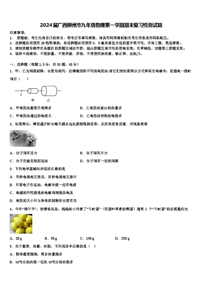 2024届广西柳州市九年级物理第一学期期末复习检测试题含解析第1页
