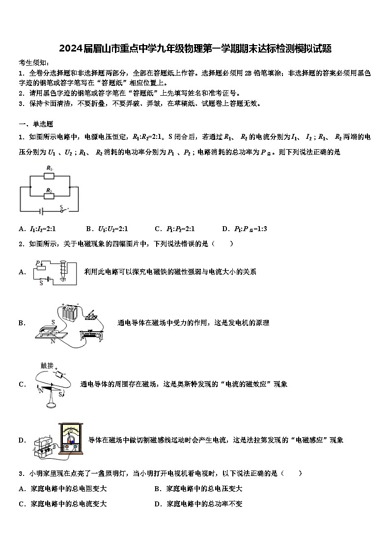2024届眉山市重点中学九年级物理第一学期期末达标检测模拟试题含解析01