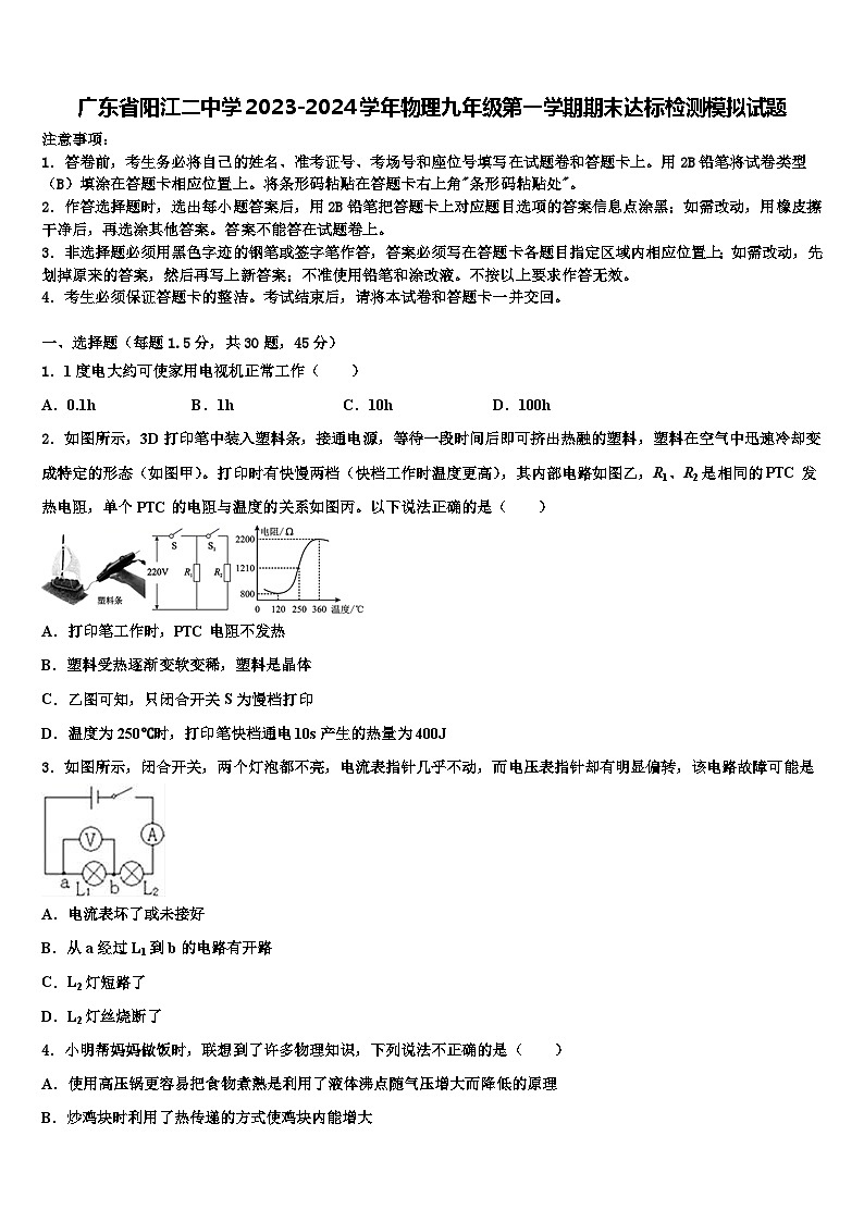 广东省阳江二中学2023-2024学年物理九年级第一学期期末达标检测模拟试题含解析第1页