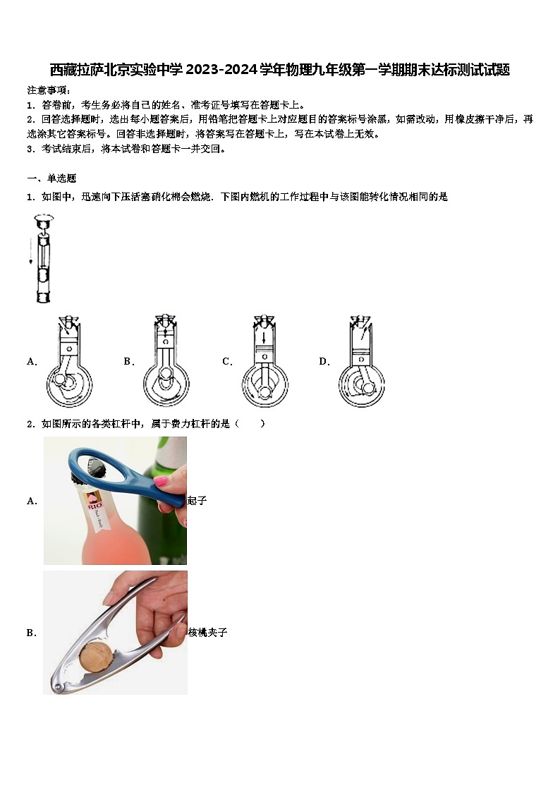 西藏拉萨北京实验中学2023-2024学年物理九年级第一学期期末达标测试试题含解析第1页