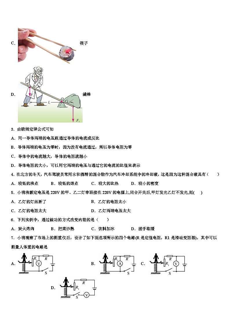 西藏拉萨北京实验中学2023-2024学年物理九年级第一学期期末达标测试试题含解析第2页