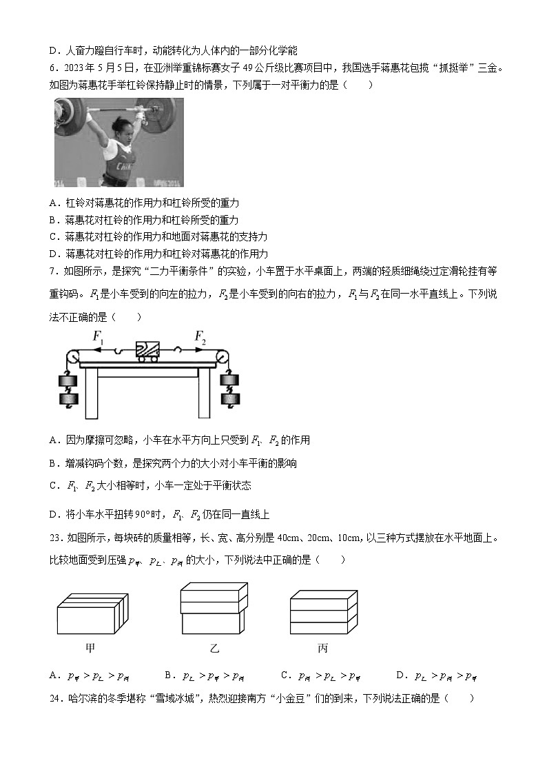 2024年黑龙江省哈尔滨市南岗区（一模）物理试题第2页