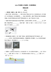 2024年河南省南阳市镇平县中考一模物理试题（原卷版+解析版）