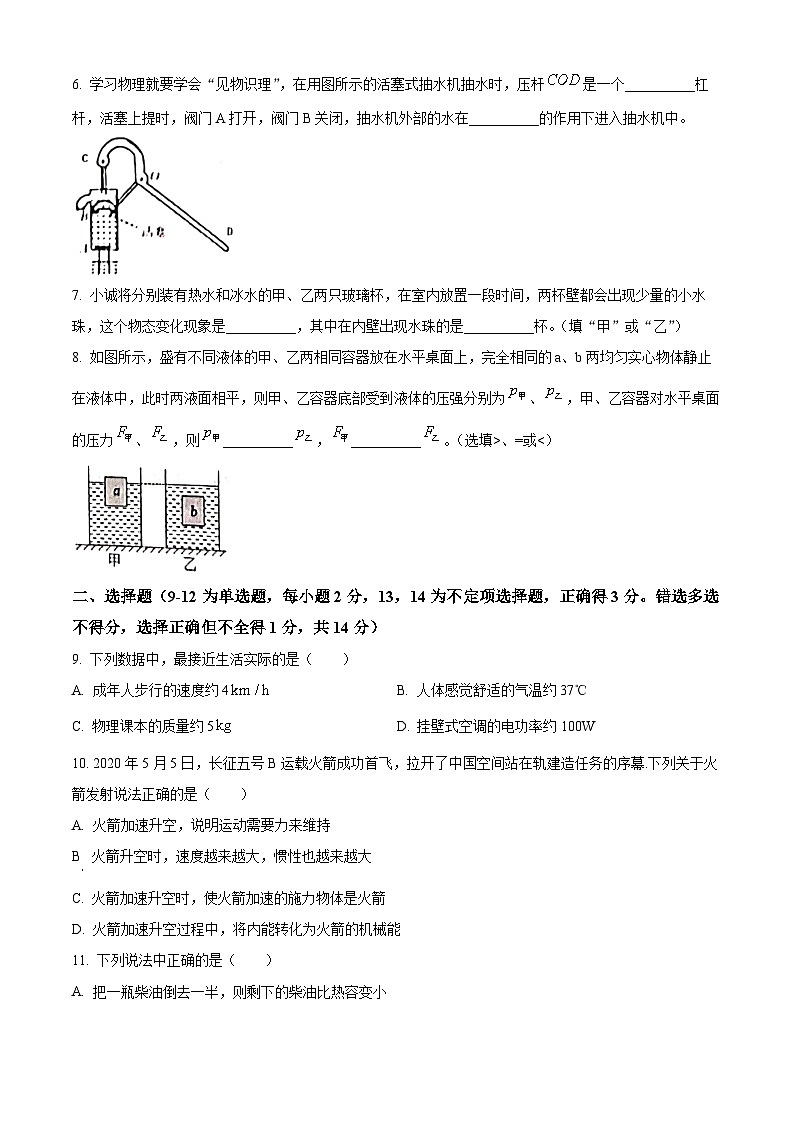2024年江西省上饶市玉山县第一次初中学业水平模拟考试物理试题（原卷版）第2页