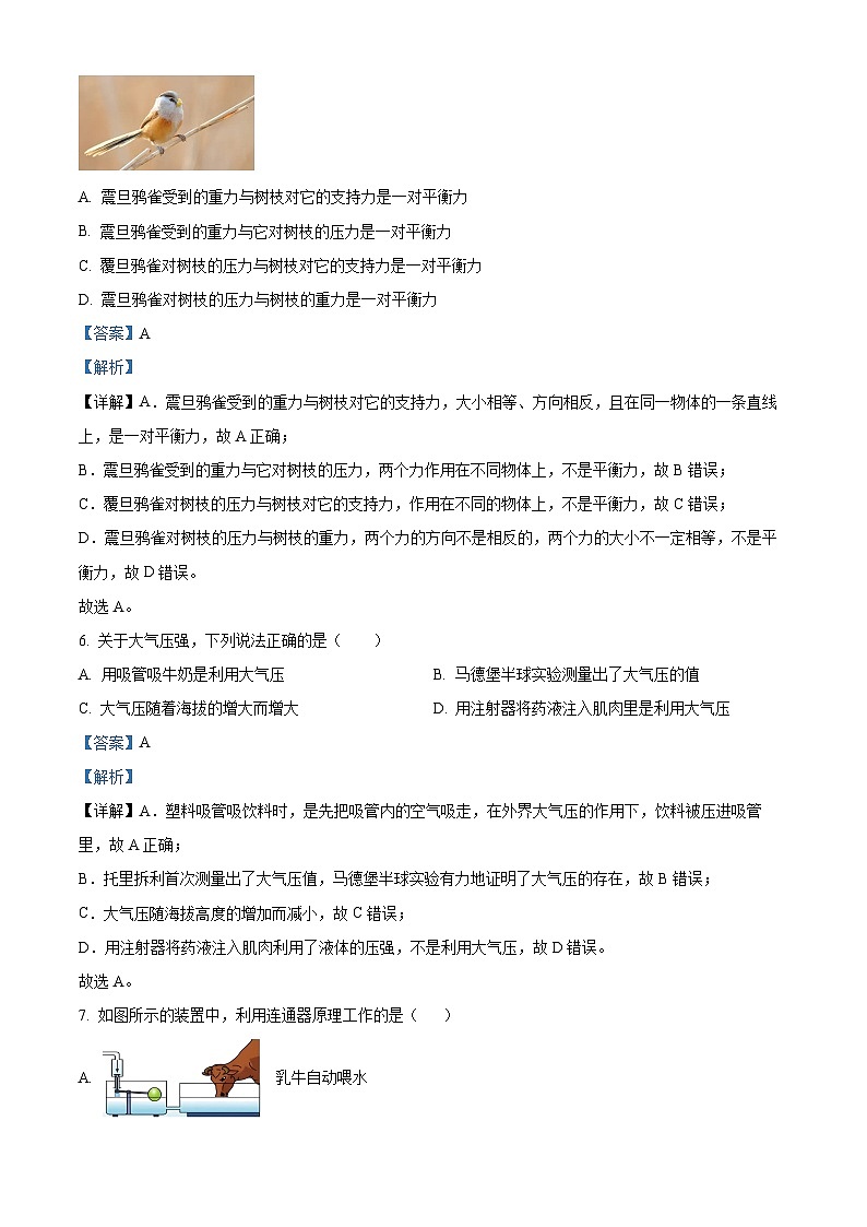 黑龙江省大庆市肇源县五校联考2023-2024学年八年级下学期4月月考物理试题（解析版）第3页
