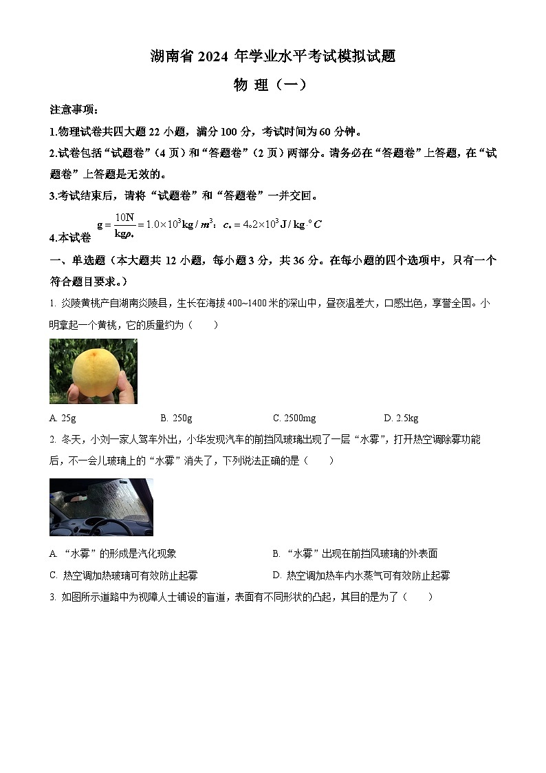 2024年湖南省株洲市第二中学中考一模考试物理试题（原卷版+解析版）01