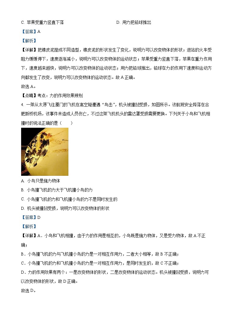 甘肃省陇南市礼县第六中学2023-2024学年八年级下学期第一次月考物理试卷（解析版）第2页