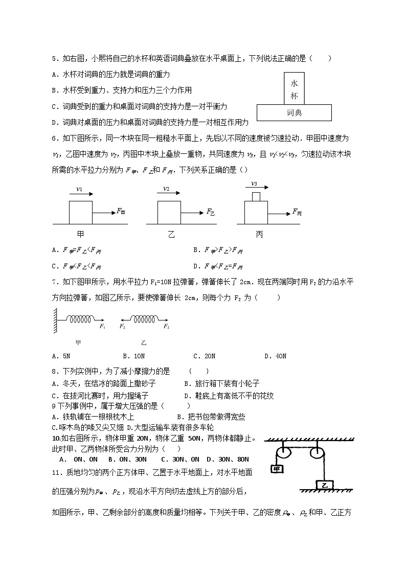 四川省凉山州宁南县初级中学校2023-2024学年八年级下学期第一次月考物理试题第2页