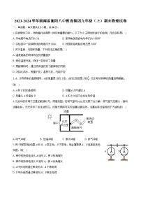 2023-2024学年湖南省衡阳八中教育集团九年级（上）期末物理试卷（含详细答案解析）