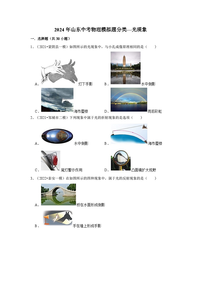 2024年山东中考物理模拟题分类---光现象01