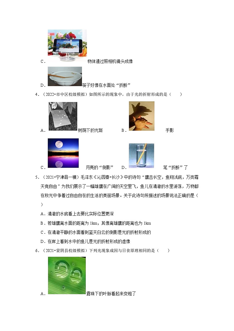 2024年山东中考物理模拟题分类---光现象02