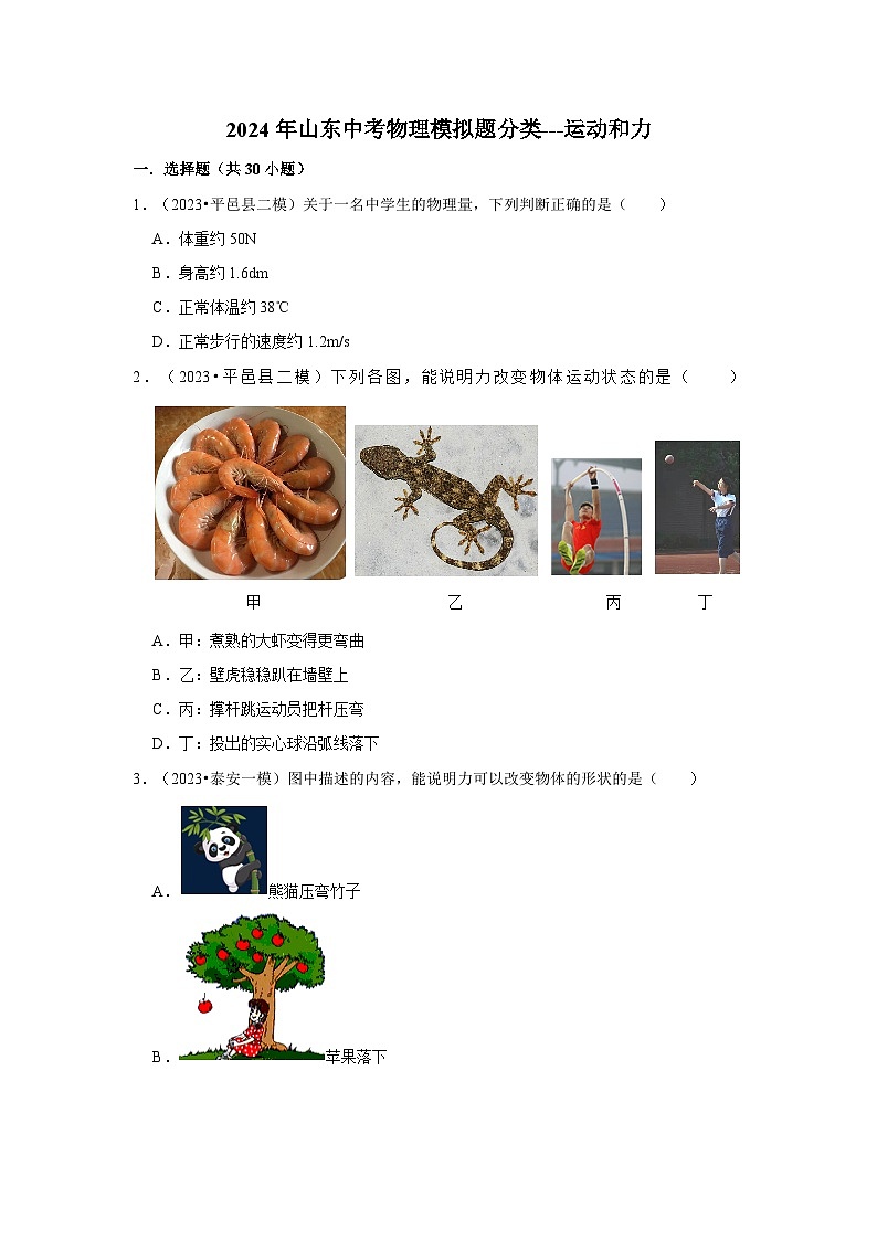 2024年山东中考物理模拟题分类---运动和力01