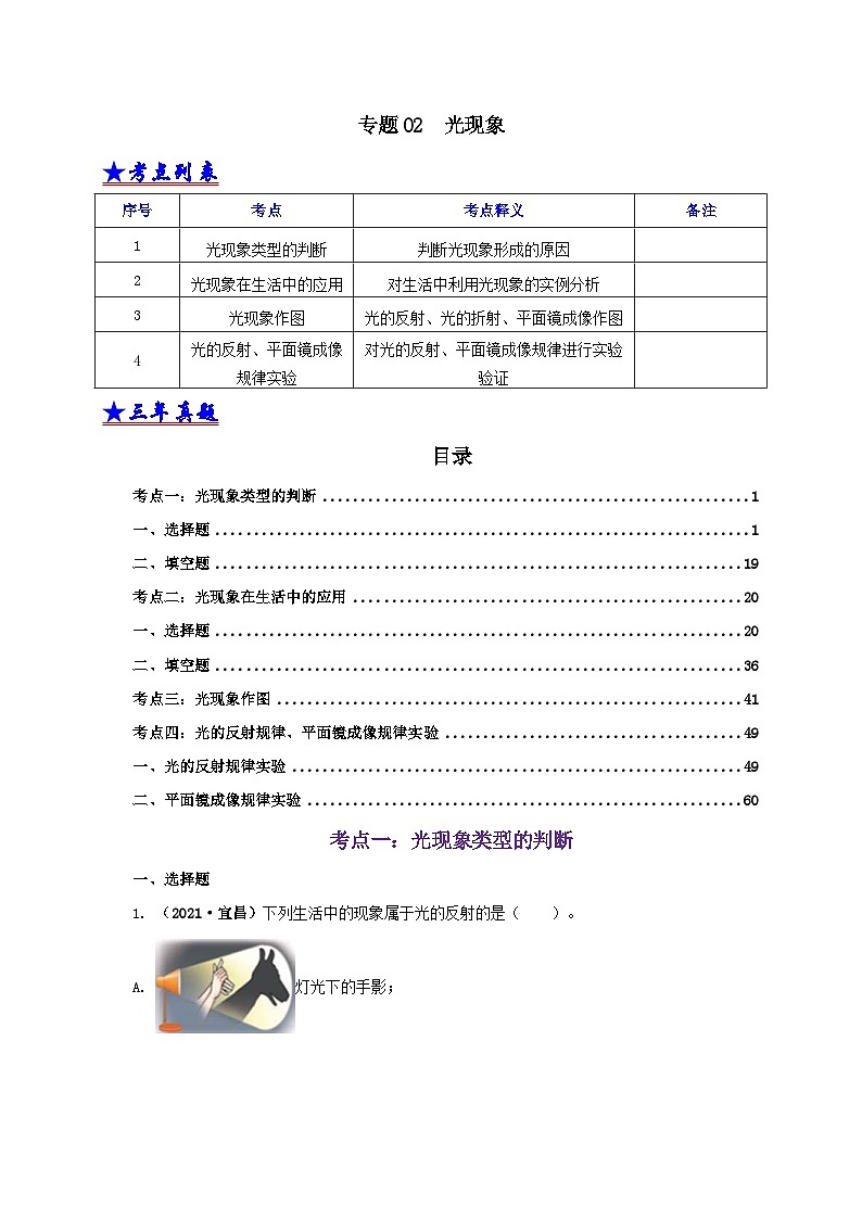 中考物理二轮专题复习专题02  光现象（含解析）第1页