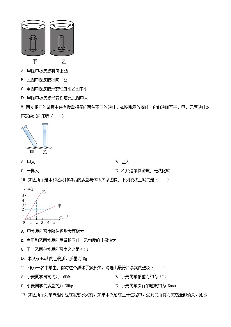 福建省泉州师范学院附属中学等校联考试卷2023-2024学年八年级下学期3月月考物理试题（原卷版）第3页
