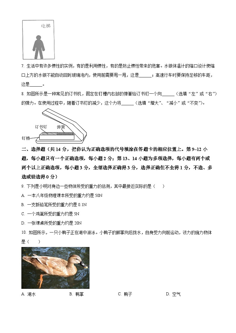 江西省赣州市大余县部分学校联考2023-2024学年八年级下学期3月月考物理试题（原卷版）第2页