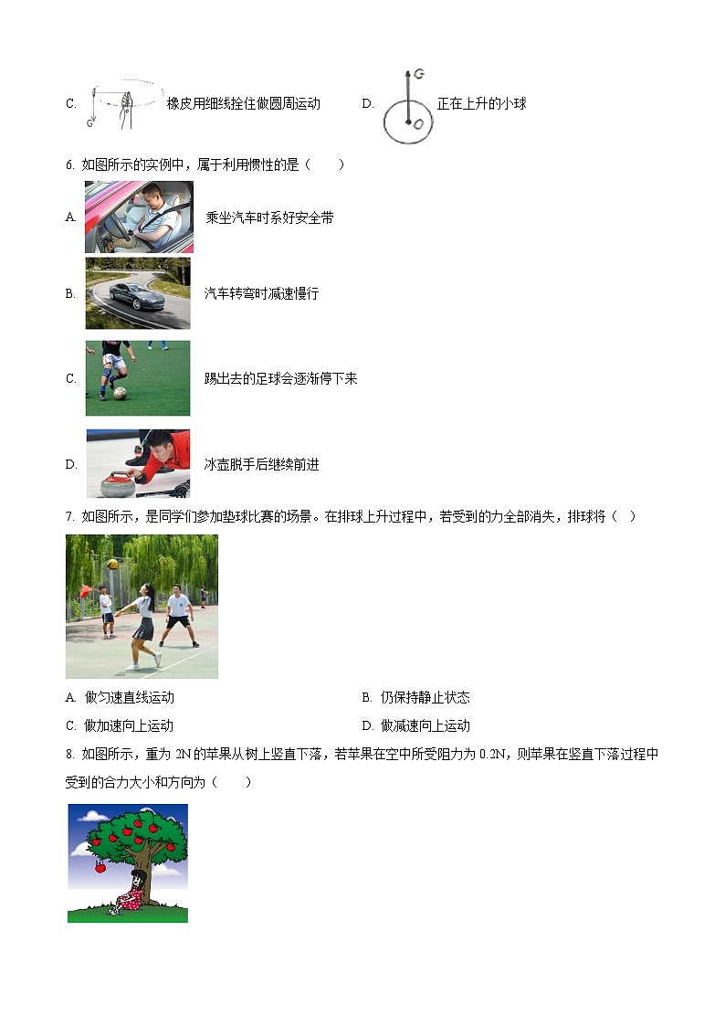 新疆维吾尔自治区喀什地区英吉沙县2023-2024学年八年级下学期3月月考物理试题（原卷版）第2页