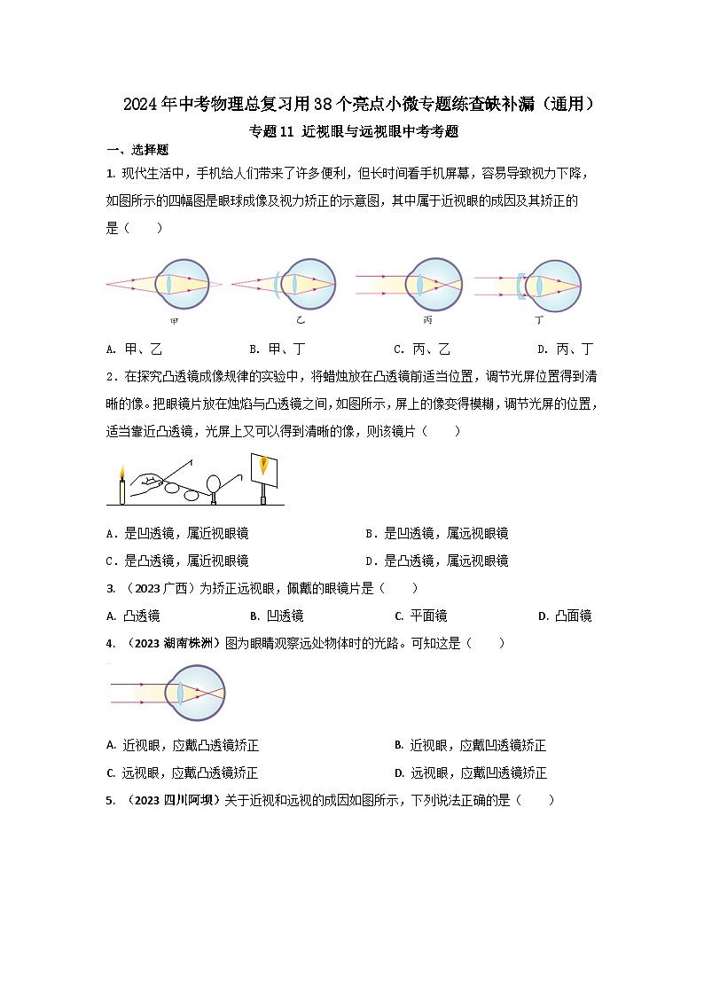 专题11 近视眼与远视眼中考考题（原卷版）第1页
