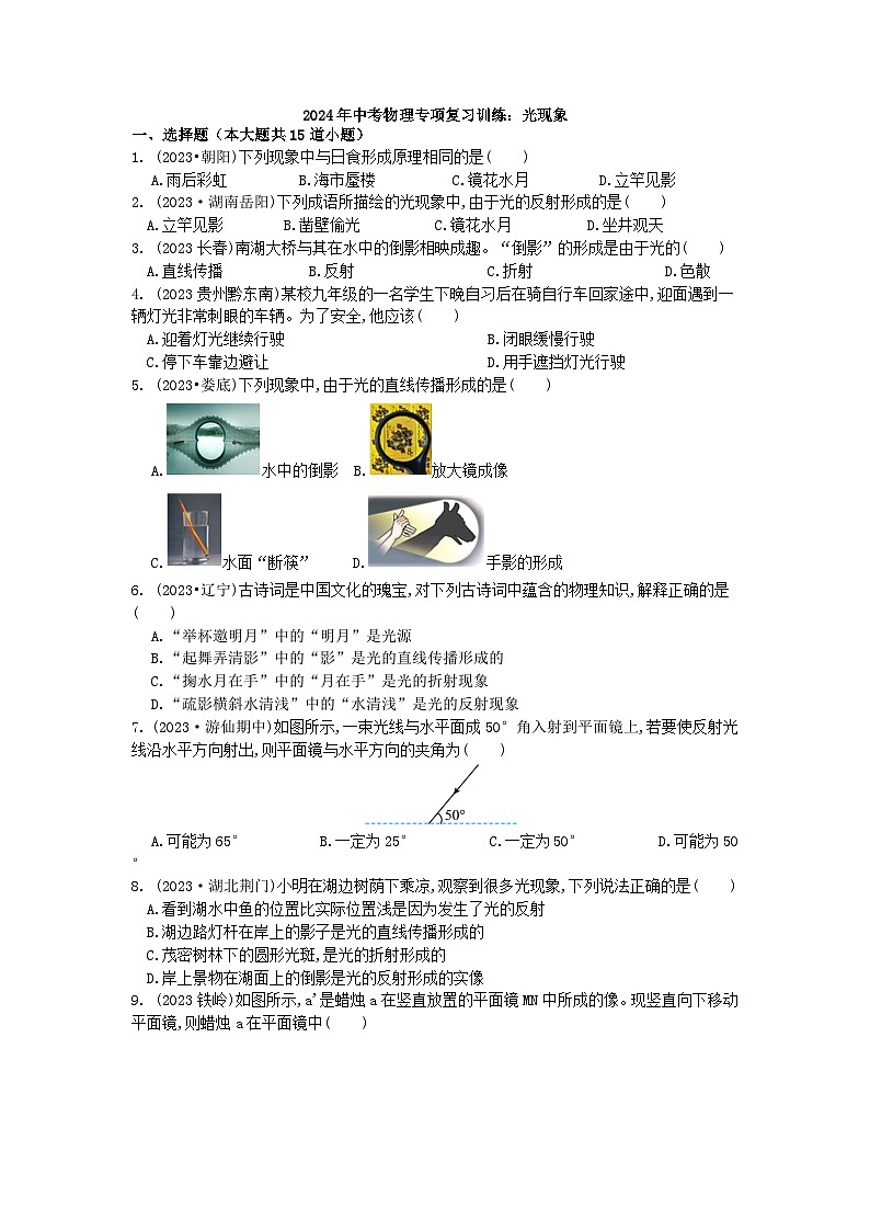 2024年中考物理专项复习训练：光现象（解析版）第1页