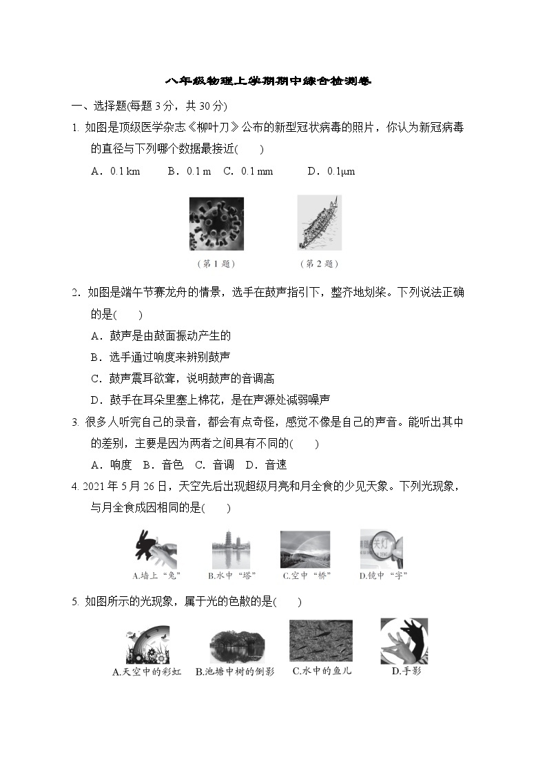 上海市树人中学2023-2024学年八年级物理上学期期中综合检测卷01