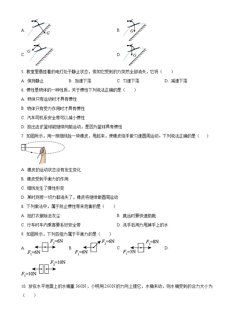 山东省青岛市胶州市瑞华实验初级中学2023-2024学年八年级下学期3月月考物理试题（原卷版）第2页