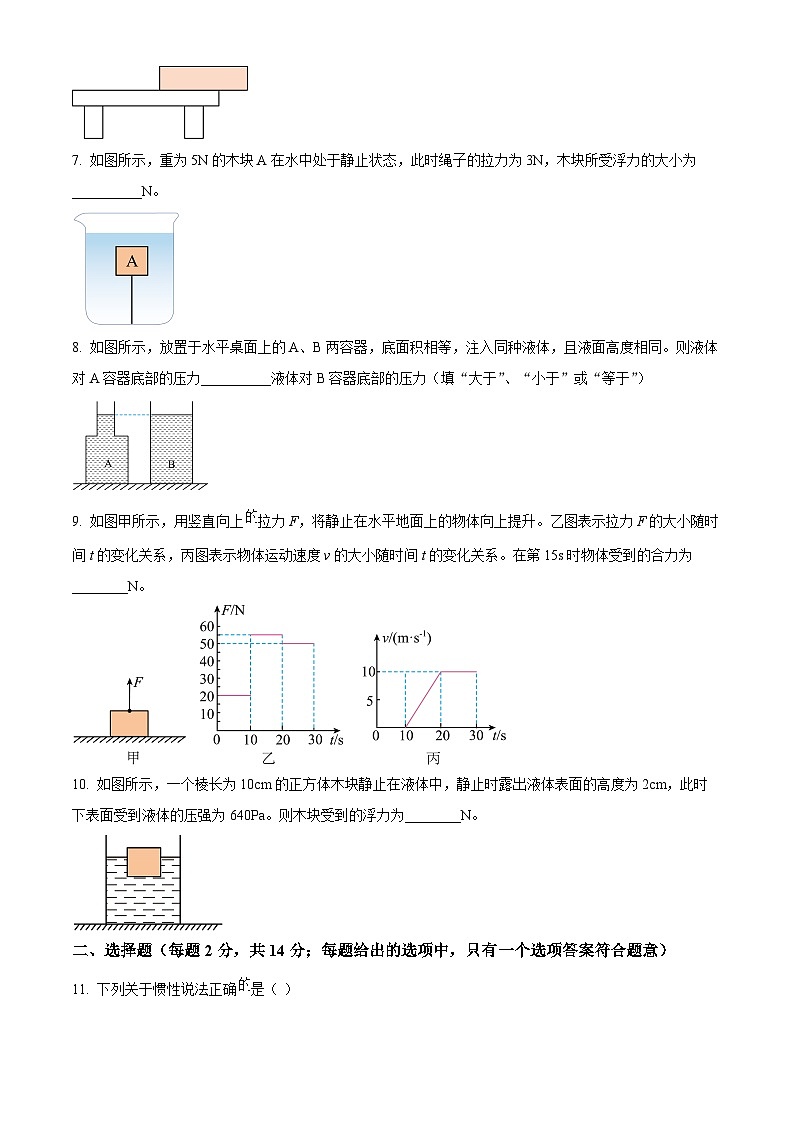 安徽省合肥市第四十二中学2023-2024学年八年级下学期期中物理考试卷（原卷版）第2页