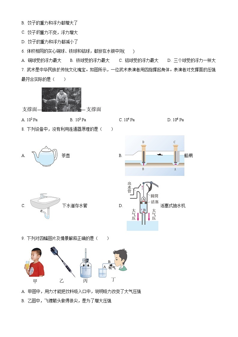 海南省海口市第一中学2023-2024学年八年级下学期四月月考物理试题A卷（原卷版）第2页
