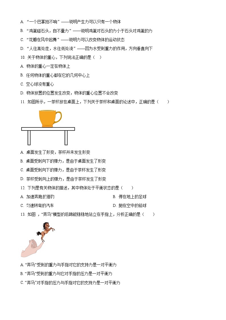 河南大学附属中学2023-2024学年下学期期中考试八年级物理试题（原卷版）第3页