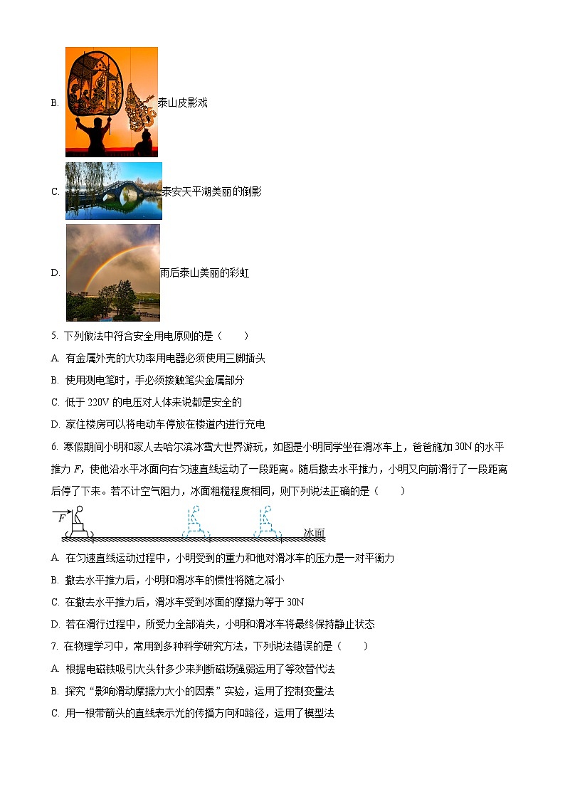 2024年山东省泰安市岱岳区中考一模物理试题（原卷版+解析版）02