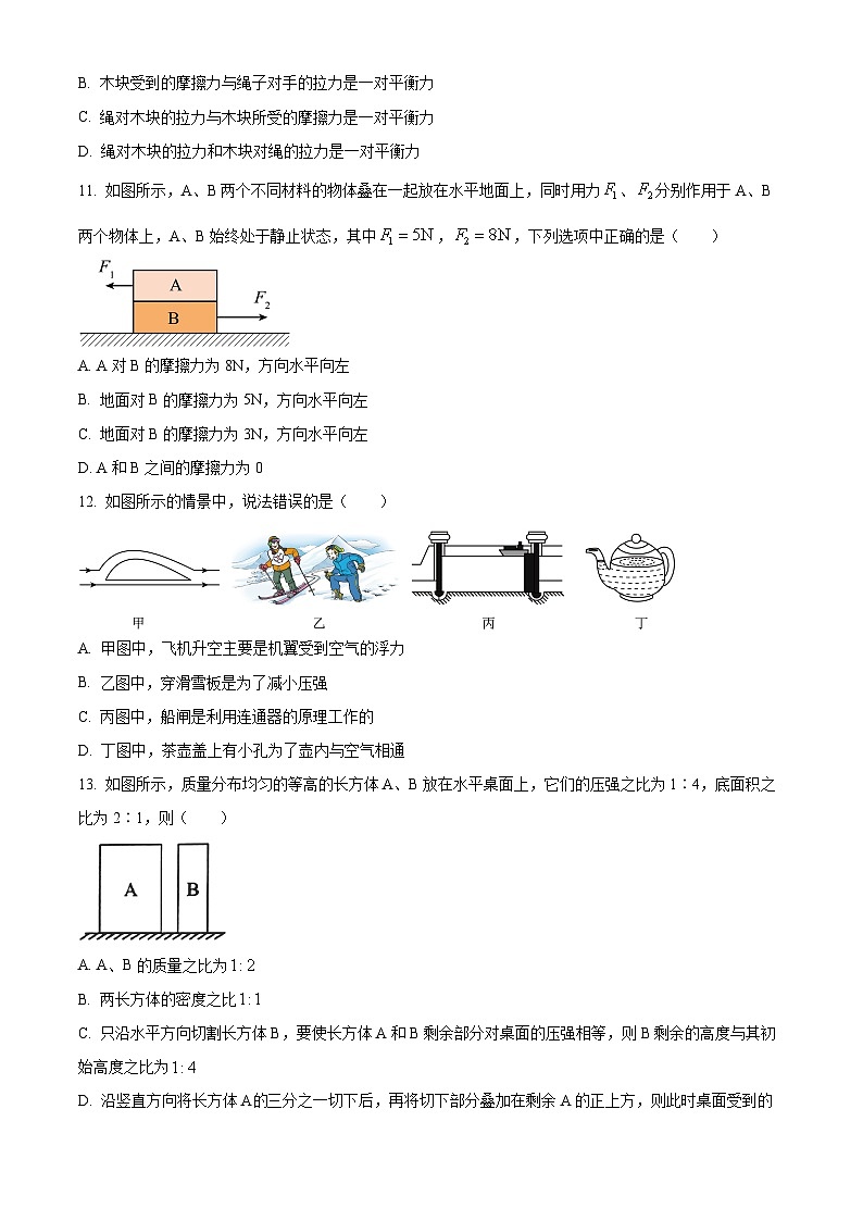 河南省驻马店市确山县2023-2024学年八年级下学期4月期中物理试题（原卷版）第3页