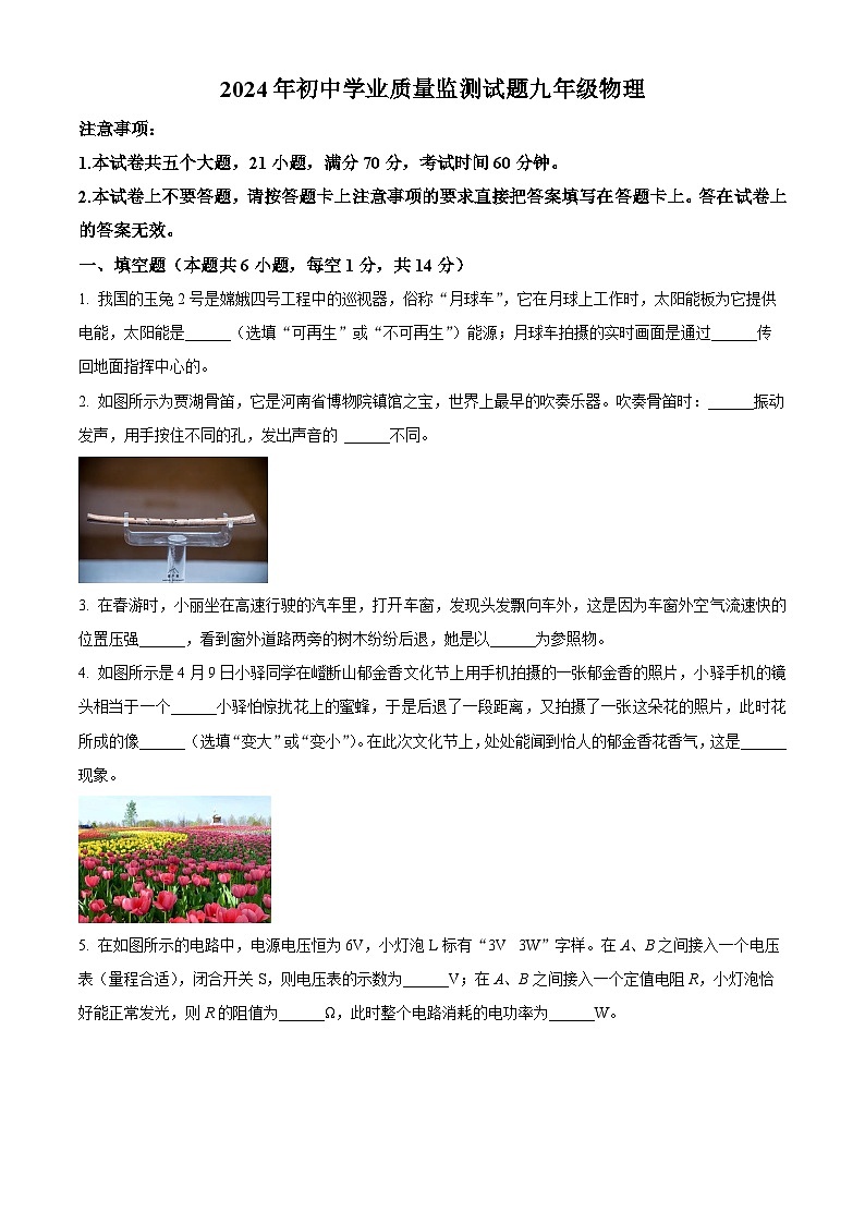 2024年河南省驻马店市中考二模物理试卷（原卷版+解析版）01
