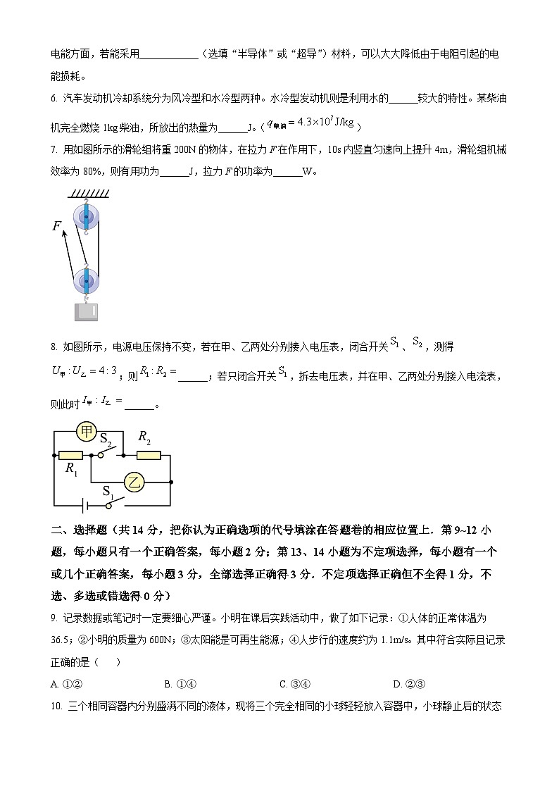2024年江西省新余市新余市九年级第一次模拟考试物理试题（原卷版）第2页